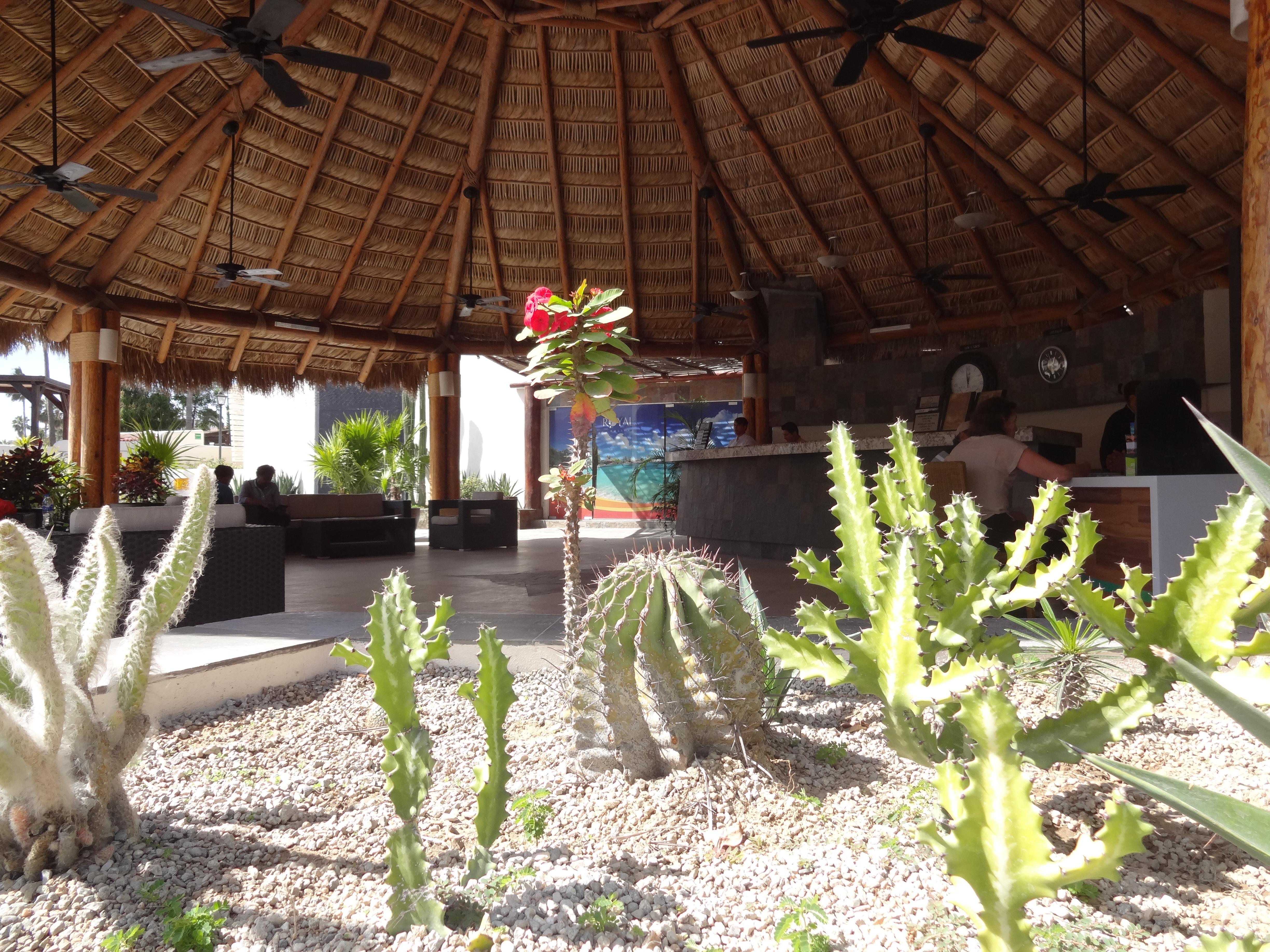 فندق بارك رويال لوس كابوس San José del Cabo المظهر الخارجي الصورة